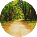 Right Of Way Clearing