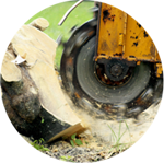 Stump Grinding & Removal